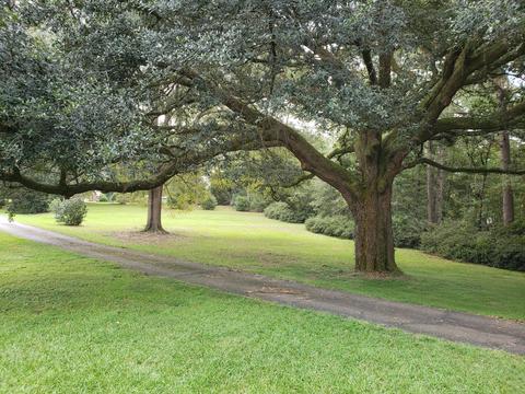 20 Marcus Mitchell Rd, Picayune, MS 39466 photo 13