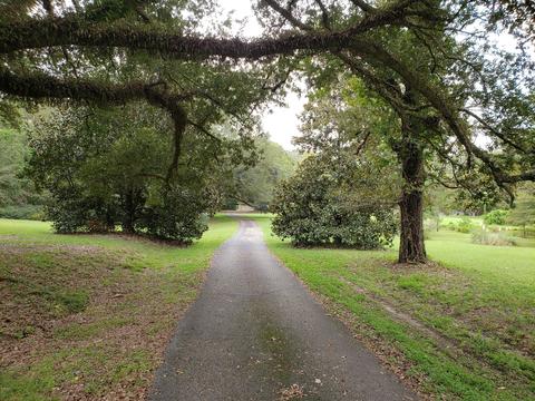 20 Marcus Mitchell Rd, Picayune, MS 39466 photo 2