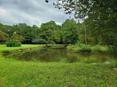 20 Marcus Mitchell Rd, Picayune, MS 39466 photo 20