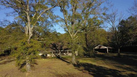18198 Midway Rd, Terry, MS 39170 photo 1