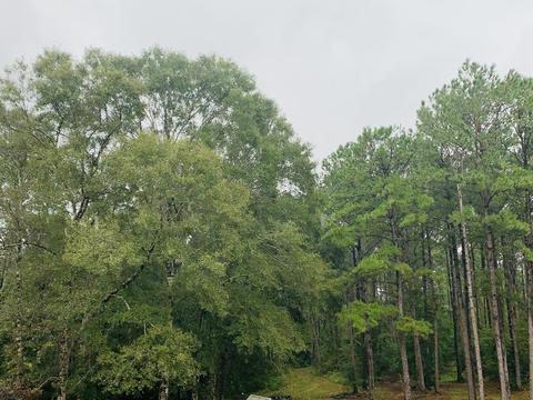26400 Sartain Rd, Lucedale, MS 39452 photo 42