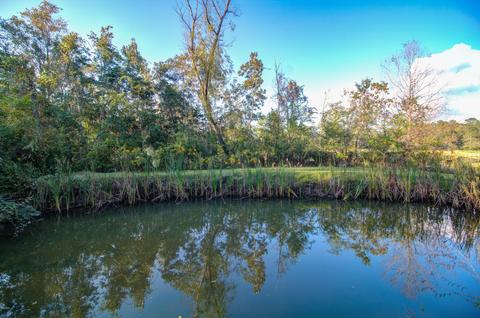 122 Rolling Woods Rd, Lucedale, MS 39452 photo 28