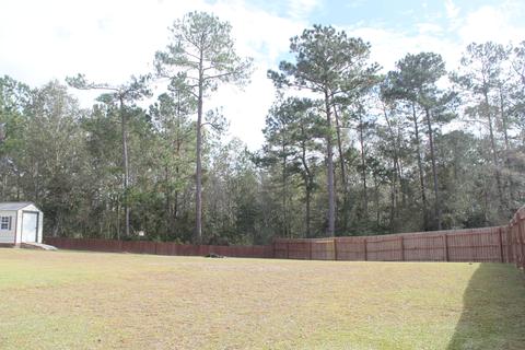 52 Trace Dr, Mchenry, MS 39561 photo 42