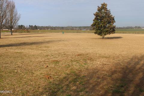 120 Henry Eubanks Rd, Lucedale, MS 39452 photo 37