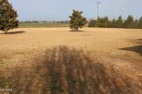 120 Henry Eubanks Rd, Lucedale, MS 39452 photo 38