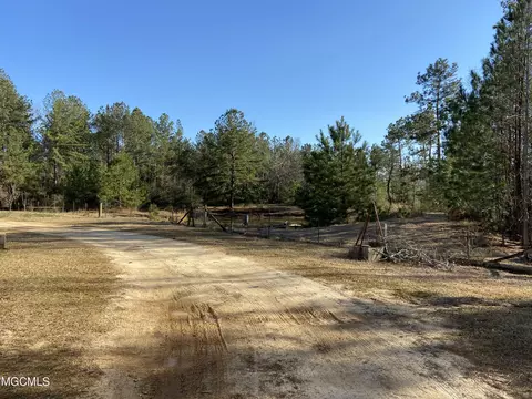 127 Ms-198, Lucedale, MS 39452 photo 6