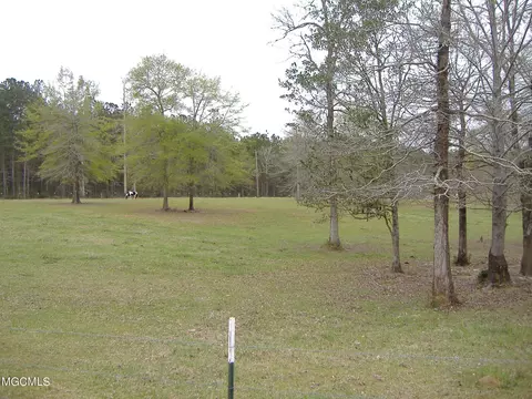 35 Ashe Nursery Rd, Wiggins, MS 39577 photo 7