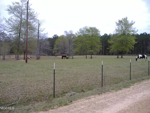 35 Ashe Nursery Rd, Wiggins, MS 39577 photo 14