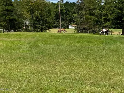 35 Ashe Nursery Rd, Wiggins, MS 39577 photo 91