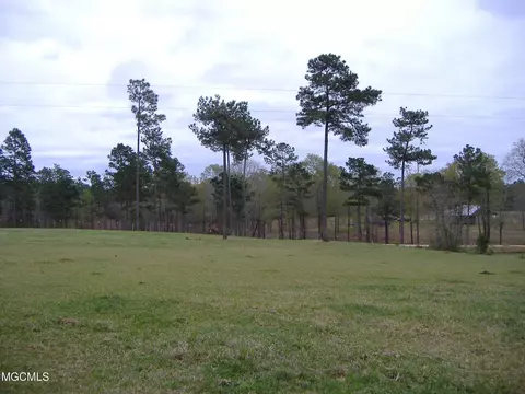 35 Ashe Nursery Rd, Wiggins, MS 39577 photo 23