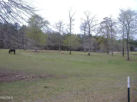 35 Ashe Nursery Rd, Wiggins, MS 39577 photo 10