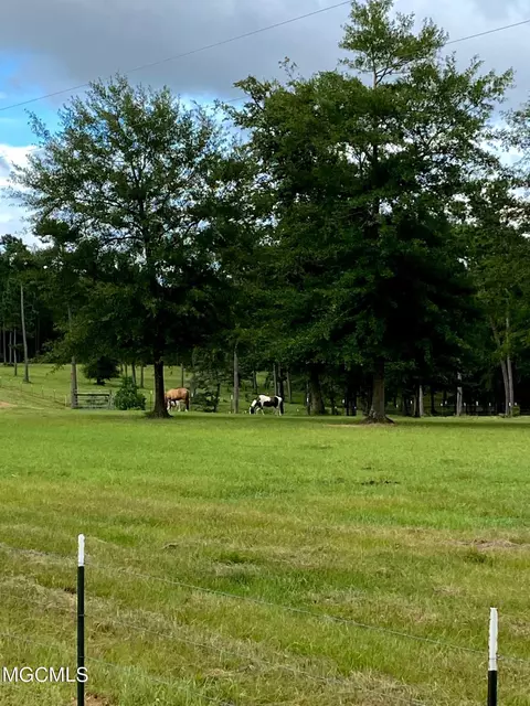 35 Ashe Nursery Rd, Wiggins, MS 39577 photo 94