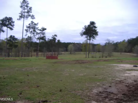 35 Ashe Nursery Rd, Wiggins, MS 39577 photo 34