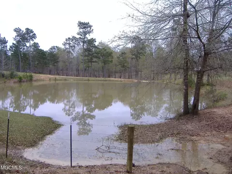 35 Ashe Nursery Rd, Wiggins, MS 39577 photo 17