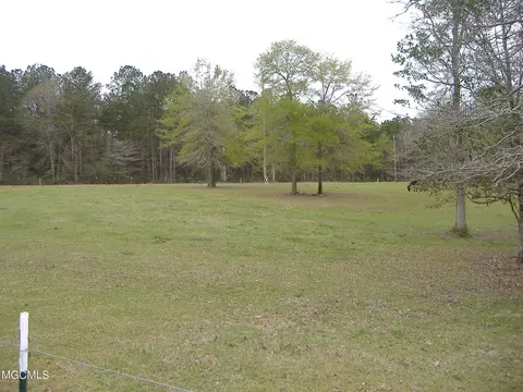 35 Ashe Nursery Rd, Wiggins, MS 39577 photo 12