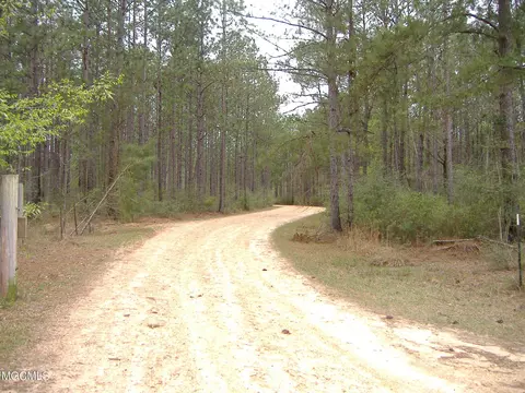 35 Ashe Nursery Rd, Wiggins, MS 39577 photo 2
