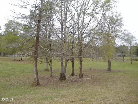 35 Ashe Nursery Rd, Wiggins, MS 39577 photo 8