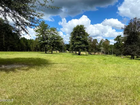 35 Ashe Nursery Rd, Wiggins, MS 39577 photo 92