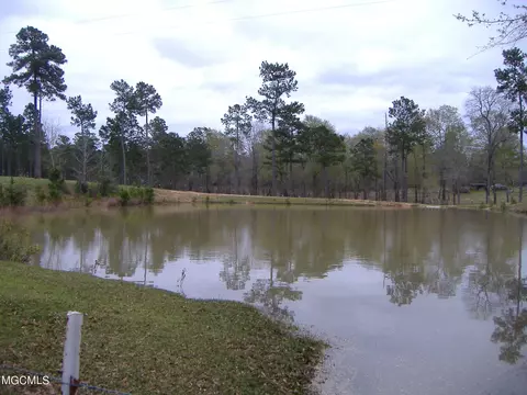 35 Ashe Nursery Rd, Wiggins, MS 39577 photo 18
