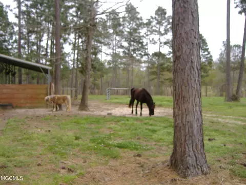35 Ashe Nursery Rd, Wiggins, MS 39577 photo 35