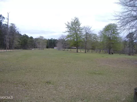 35 Ashe Nursery Rd, Wiggins, MS 39577 photo 5