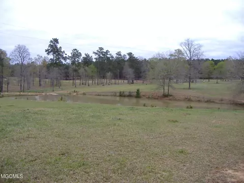 35 Ashe Nursery Rd, Wiggins, MS 39577 photo 22