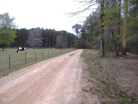 35 Ashe Nursery Rd, Wiggins, MS 39577 photo 13