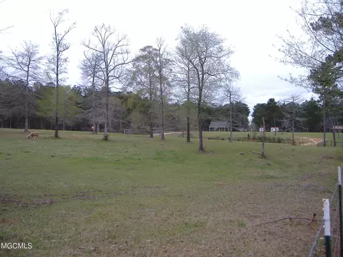 35 Ashe Nursery Rd, Wiggins, MS 39577 photo 11