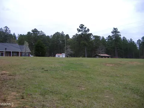 35 Ashe Nursery Rd, Wiggins, MS 39577 photo 20
