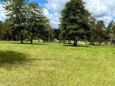 35 Ashe Nursery Rd, Wiggins, MS 39577 photo 93
