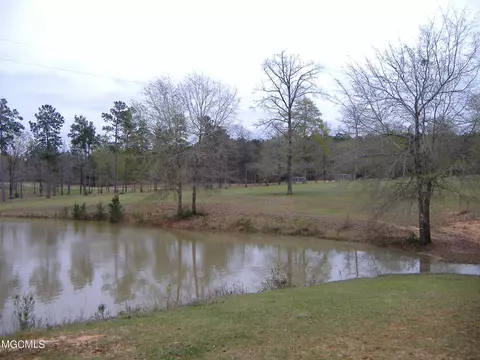 35 Ashe Nursery Rd, Wiggins, MS 39577 photo 19