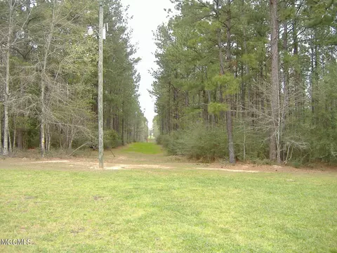 35 Ashe Nursery Rd, Wiggins, MS 39577 photo 90