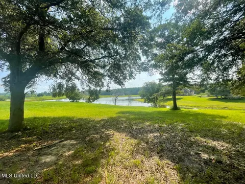 lot16 Gracies Way, Lucedale, MS 39452 photo 7