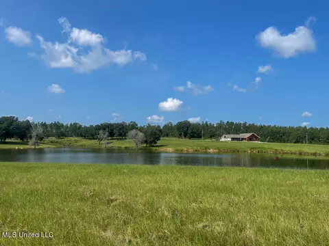 lot16 Gracies Way, Lucedale, MS 39452 photo 40