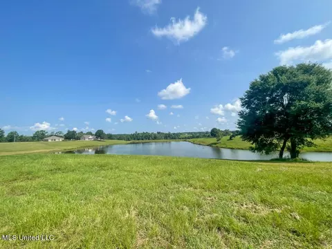 lot16 Gracies Way, Lucedale, MS 39452 photo 30