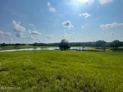 Lot 24 Gracies Way, Lucedale, MS 39452 photo 11