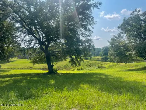Lot 24 Gracies Way, Lucedale, MS 39452 photo 4