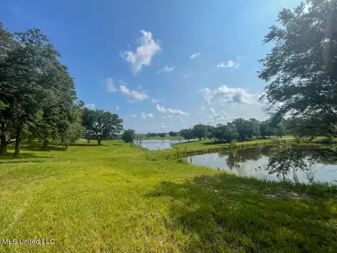 Lot 24 Gracies Way, Lucedale, MS 39452 photo 19