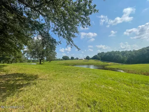 Lot 24 Gracies Way, Lucedale, MS 39452 photo 29