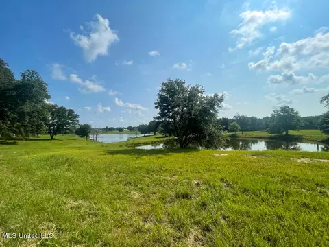 Lot 24 Gracies Way, Lucedale, MS 39452 photo 18