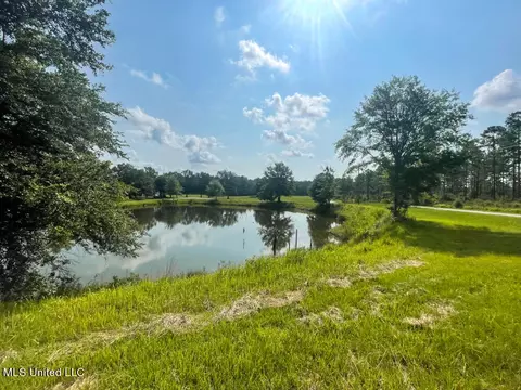 Lot 24 Gracies Way, Lucedale, MS 39452 photo 21