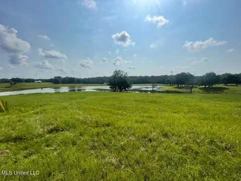 Lot 24 Gracies Way, Lucedale, MS 39452 photo 10