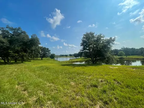 Lot 24 Gracies Way, Lucedale, MS 39452 photo 17