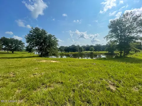 Lot 24 Gracies Way, Lucedale, MS 39452 photo 16