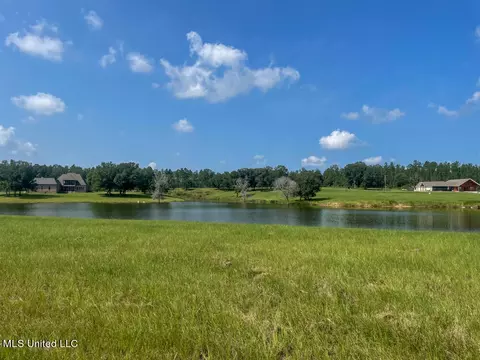 Lot 24 Gracies Way, Lucedale, MS 39452 photo 36