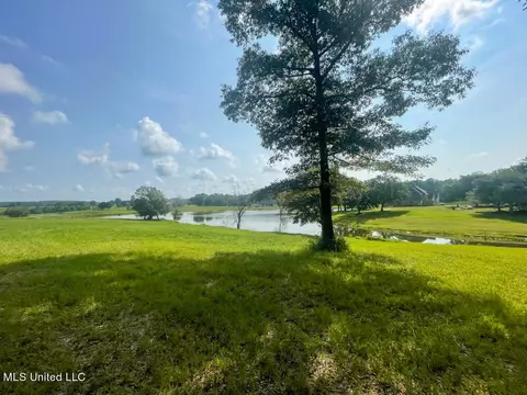 Lot 24 Gracies Way, Lucedale, MS 39452 photo 8