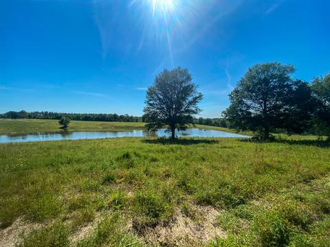 Lot 34 Gracies Way, Lucedale, MS 39452