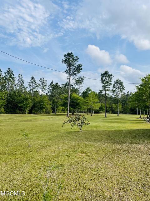 6080 Hans Rd, Moss Point, MS 39562 photo 23