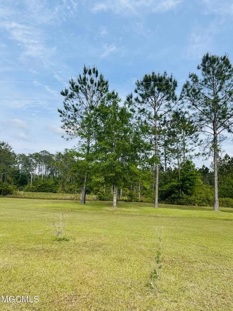 6080 Hans Rd, Moss Point, MS 39562 photo 24
