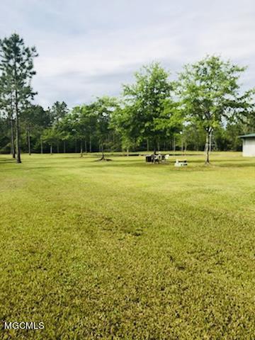 6080 Hans Rd, Moss Point, MS 39562 photo 3